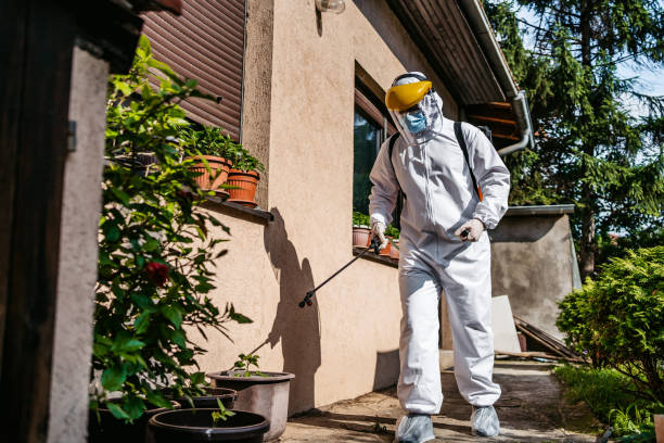 Best Best Pest Control Companies  in Kenedy, TX