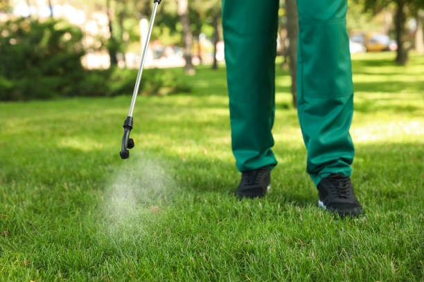 Best Commercial Pest Control Services  in Kenedy, TX