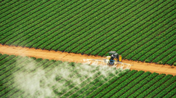 Best Mosquito Control Services  in Kenedy, TX