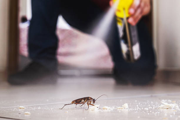 Best Pest Removal Services  in Kenedy, TX